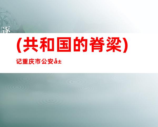 (共和国的脊梁)记重庆市公安局经侦总队总队长陈光明