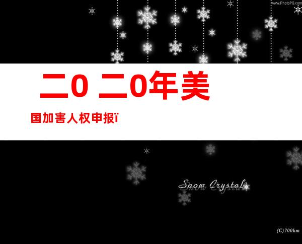  二0 二0年美国加害 人权申报 ：一年外美国警员 只要 一 八地出有杀人