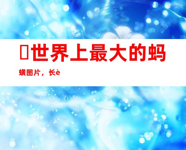 ​世界上最大的蚂蟥图片，长达7米的暴君水蛭在亚马逊被发现