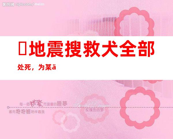 ​地震搜救犬全部处死，为某个神秘人物陪葬(谣言不可信！！)