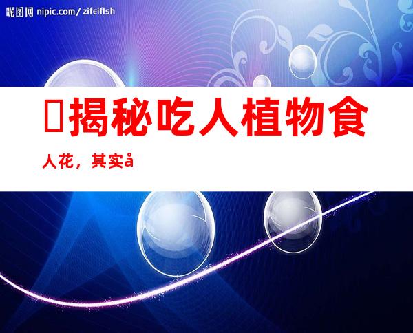 ​揭秘吃人植物食人花，其实并不吃人(真实身份是大王花)