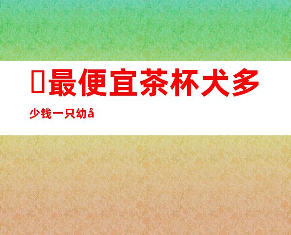 ​最便宜茶杯犬多少钱一只幼崽，2000-10000(后期饲养花费大)