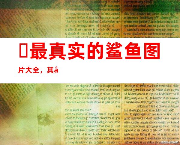 ​最真实的鲨鱼图片大全，其实大多数不会吃人(百分之九十是误伤)