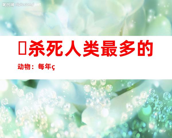 ​杀死人类最多的动物：每年约72万人死于它手(意想不到)