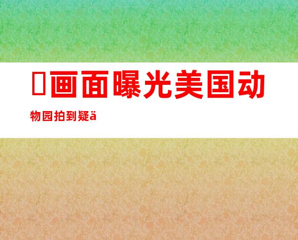 ​画面曝光美国动物园拍到疑似狼人后又发现只神秘生物,动物园疑似拍到狼人