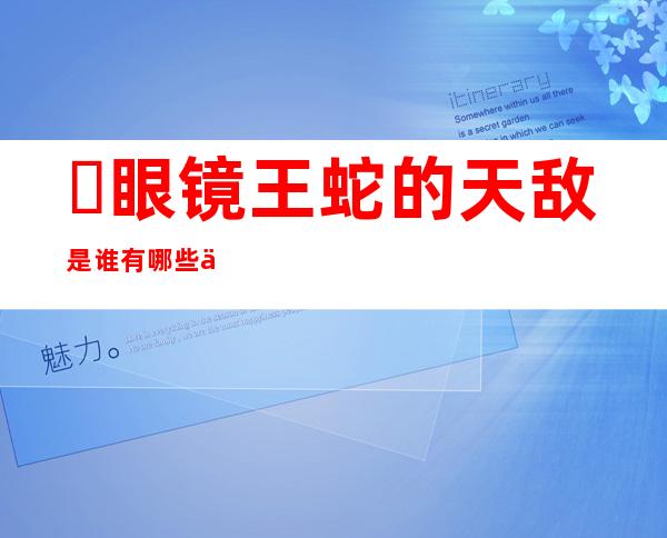 ​眼镜王蛇的天敌是谁有哪些什么动物，四大天敌可以随意将其击杀