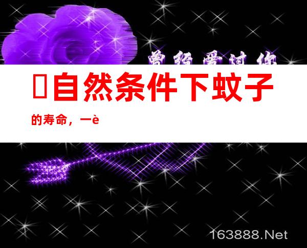 ​自然条件下蚊子的寿命，一般雄性蚊子可活7天雌性可活1个月