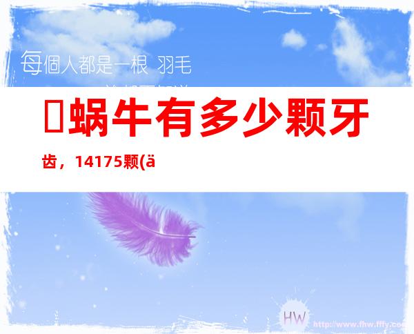 ​蜗牛有多少颗牙齿，14175颗(世界上牙齿最多的动物/附放大图片)