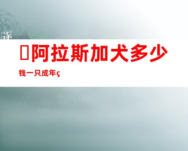 ​阿拉斯加犬多少钱一只?成年的比较贵(幼崽最低一千元)