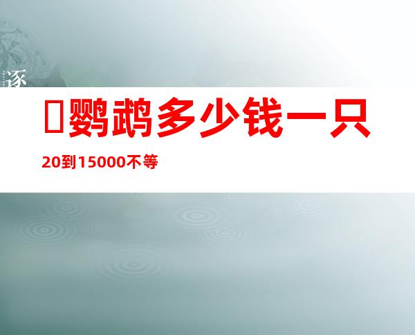 ​鹦鹉多少钱一只?20到15000不等(品种不同价格不同)