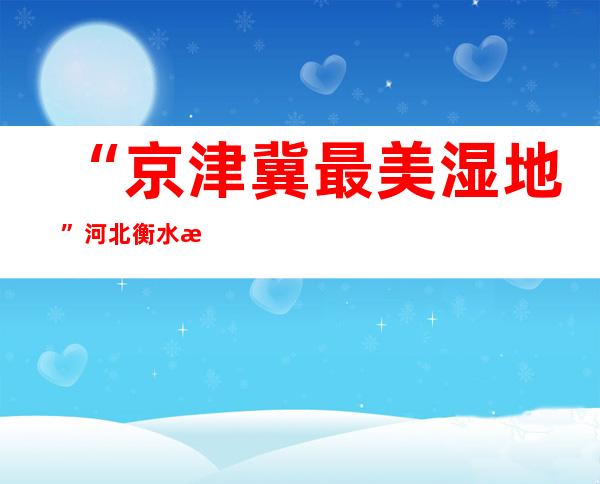 “京津冀最美湿地”河北衡水湖首现国家一级保护动物白头鹤