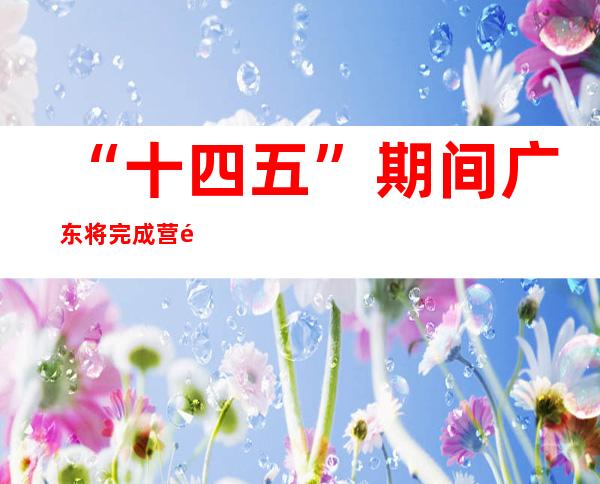 “十四五”期间广东将完成营造修复红树林12万亩