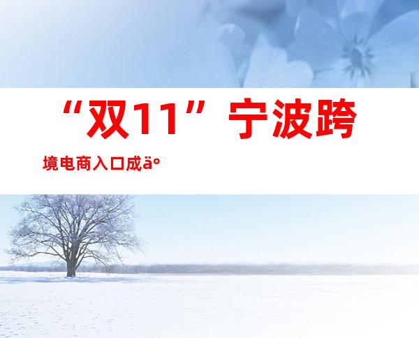 “双11”宁波跨境电商入口成交量突破1000万单