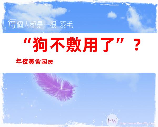 “狗不敷用了”？年夜黉舍园收养流离动物不只必要爱心