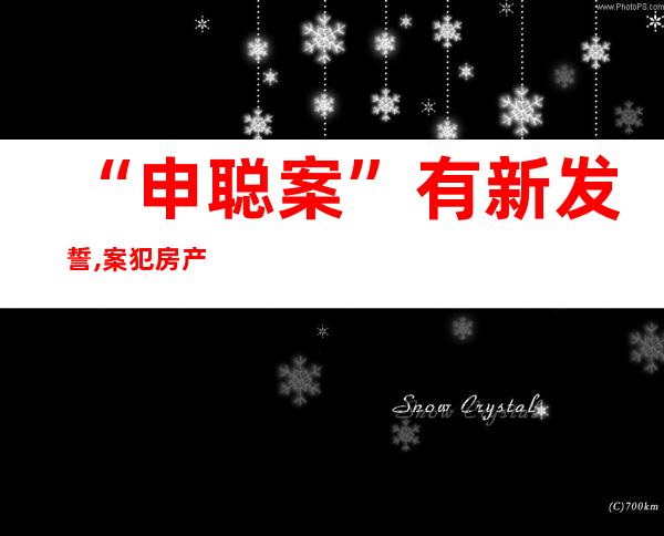 “申聪案”有新发誓,案犯房产下月网络法拍