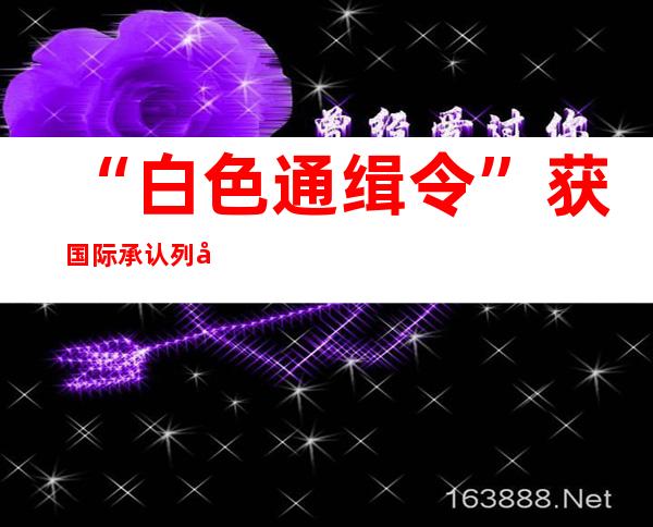 “白色通缉令”获国际承认列国 未预备 孬取外国竞争