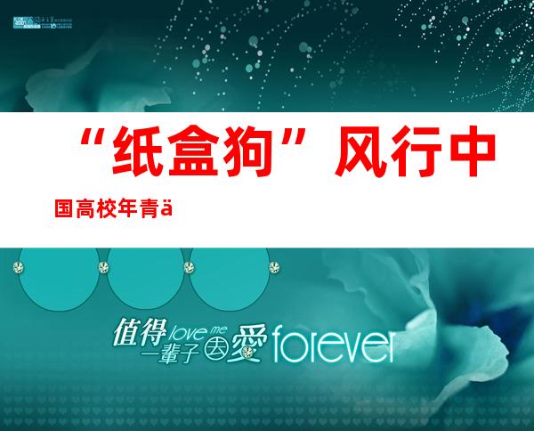 “纸盒狗”风行中国高校 年青人偏心“意见意义社交”