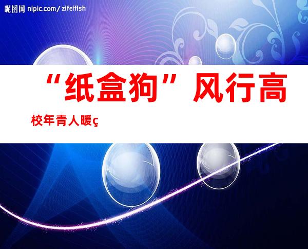 “纸盒狗”风行高校 年青人暖爱糊口的一种注脚