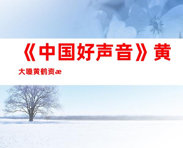 《中国好声音》黄大嗓黄鹤资料 黄鹤被淘汰了吗(3)