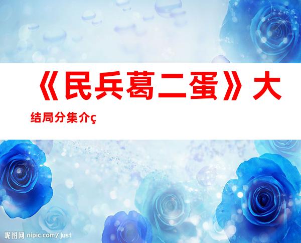 《民兵葛二蛋》大结局分集介绍 《民兵葛二蛋》剧照