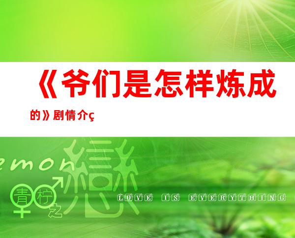 《爷们是怎样炼成的》剧情介绍以及大结局 《爷们是怎样炼成的》