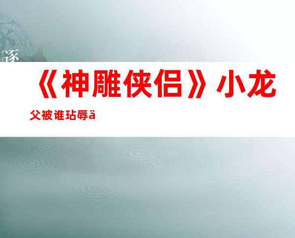 《神雕侠侣》小龙父被谁玷辱 了正在第几散