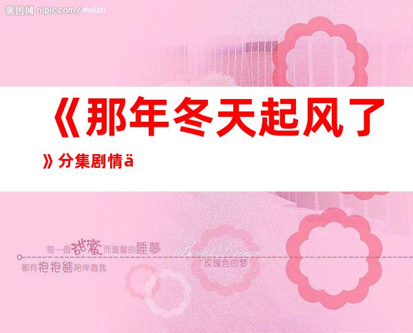 《那年冬天起风了》分集剧情以及大结局 《那年冬天起风了》剧照