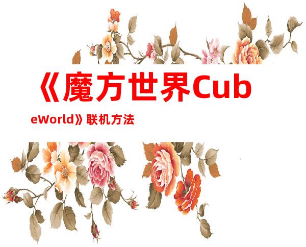 《魔方世界CubeWorld》联机方法