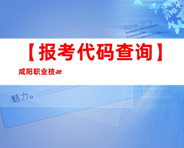 【报考代码查询】咸阳职业技术学院学校代码是多少？