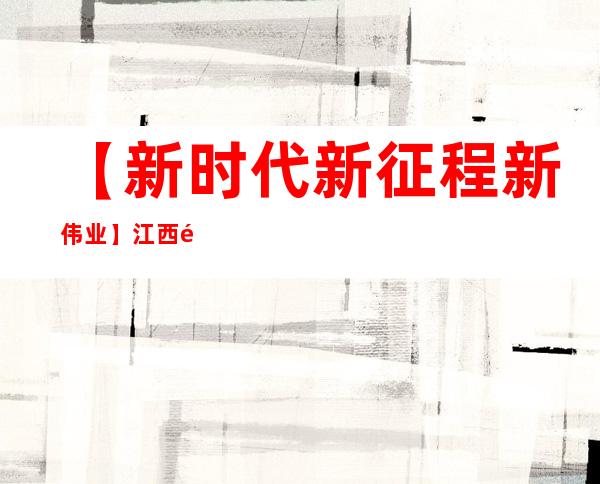 【新时代新征程新伟业】江西青山湖区政务服务的“加速度”：从“一次办”到“一闪办”