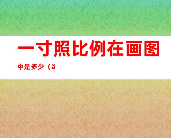 一寸照比例在画图中是多少（一寸照比例是多少乘多少）