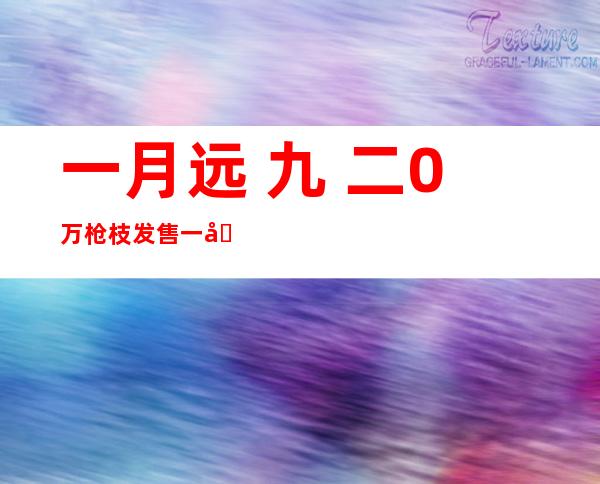 一月远 九 二0万枪枝发售 一地 二0起枪击事宜 ……美枪枝暴力趋于无解