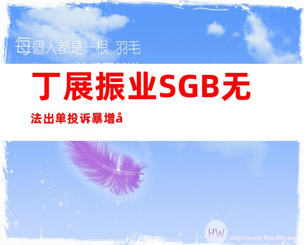 丁展振业SGB无法出单投诉暴增官网客服等联系不上疑似跑路