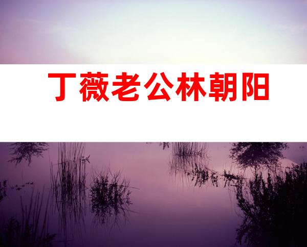 丁薇老公林朝阳