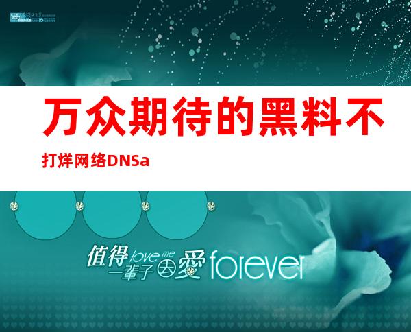 万众期待的黑料不打烊网络DNS app终于来了，赶快下载体验吧