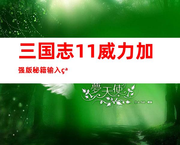 三国志11威力加强版秘籍输入窗口——三国志11威力加强版秘籍怎么用