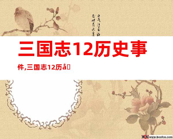 三国志12历史事件,三国志12历史大事记 → 三国志12重要历史事件