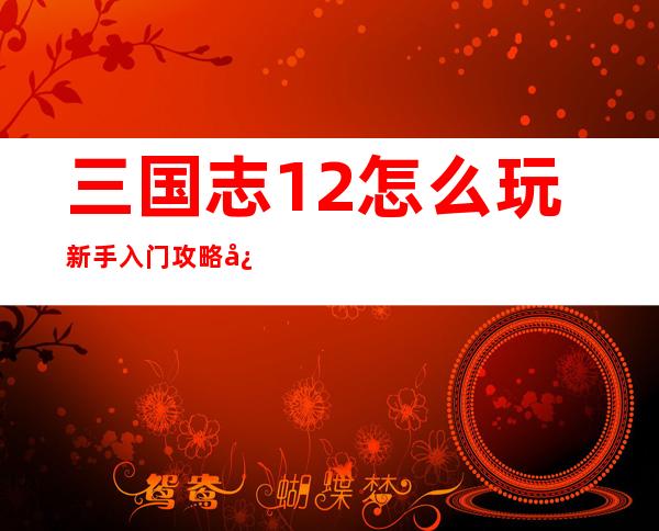 三国志12怎么玩新手入门 攻略心得秘策技能