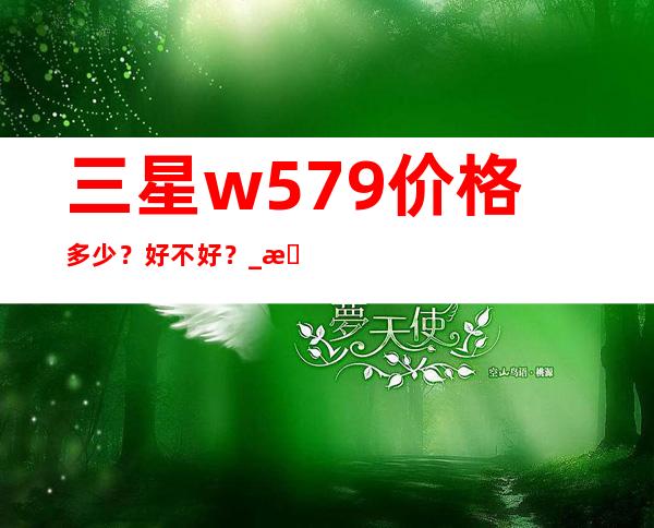 三星w579价格多少？好不好？ _手机