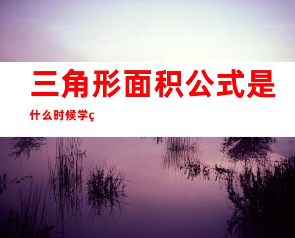 三角形面积公式是什么时候学的（三角形面积公式是什么小学）