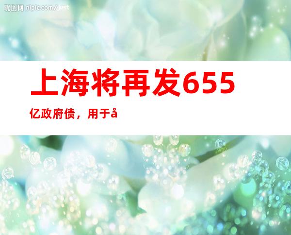 上海将再发655亿政府债，用于偿还存量债务