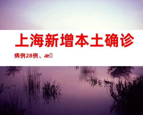 上海新增本土确诊病例28例、本土无症状感染者303例