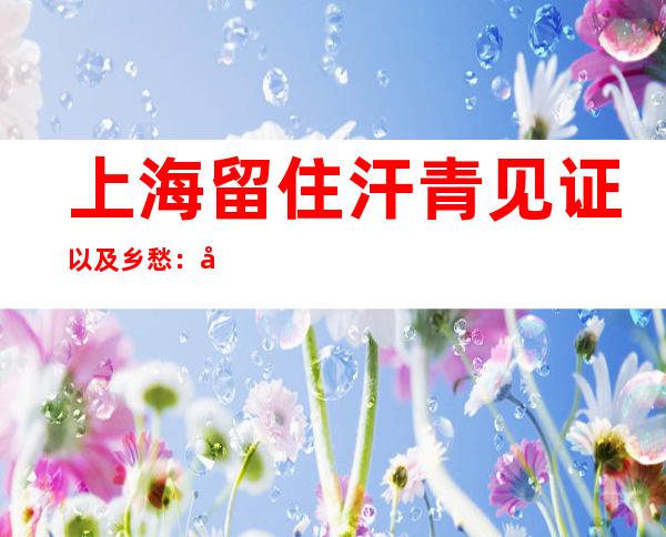 上海留住汗青见证以及乡愁：工程建设让位古树庇护、为名木建园