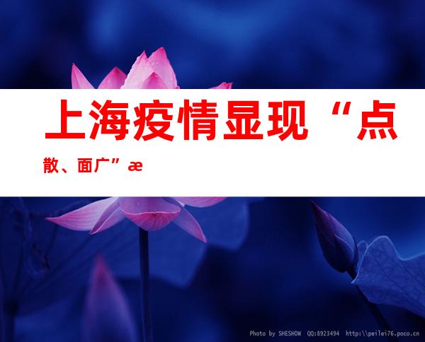 上海疫情显现“点散、面广”态势 主要与外省市疫情外溢相干联