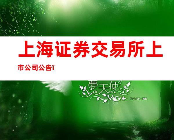 上海证券交易所上市公司公告（2020年3月31日）