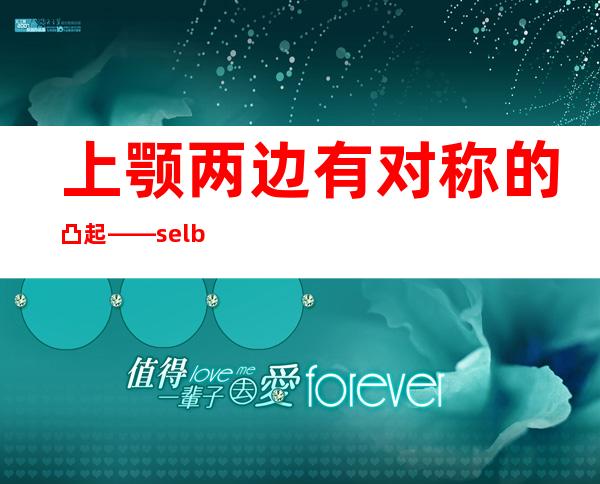 上颚两边有对称的凸起——selby是什么意思