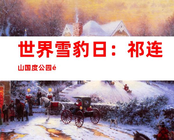 世界雪豹日：祁连山国度公园雪豹适合栖息地达2万余平方千米