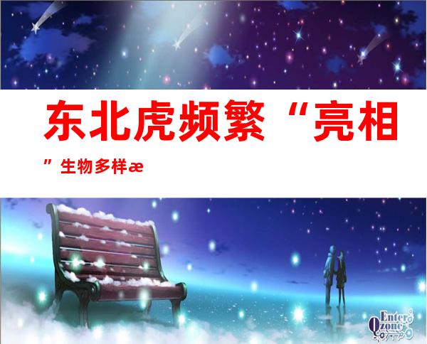 东北虎频繁“亮相” 生物多样性保护旗舰物种作用明显