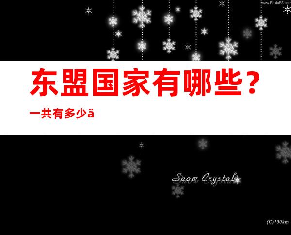 东盟国家有哪些？一共有多少个国家呢？