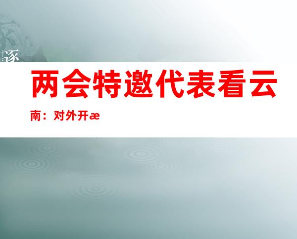 两会特邀代表看云南：对外开放带来更多机遇